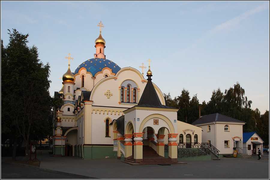 IMG_6065.jpg