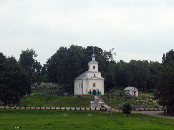 IMG_6178.jpg