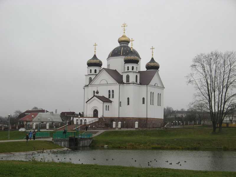 IMG_6265.jpg