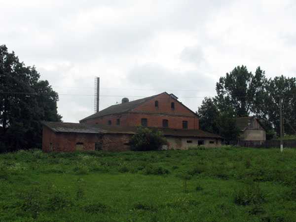 IMG_6637.jpg
