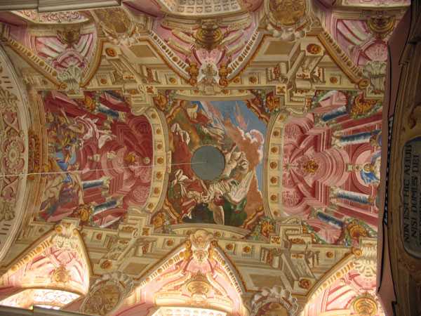 IMG_6890.jpg