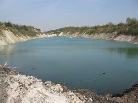 IMG 774.jpg