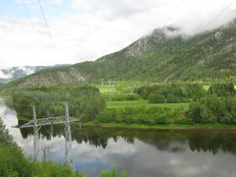 IMG 782.jpg