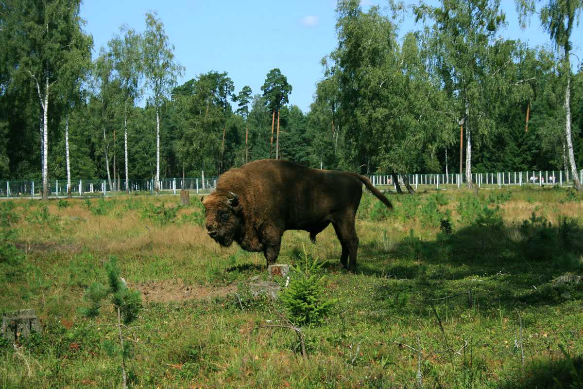 IMG_7937 для Глобуса.jpg