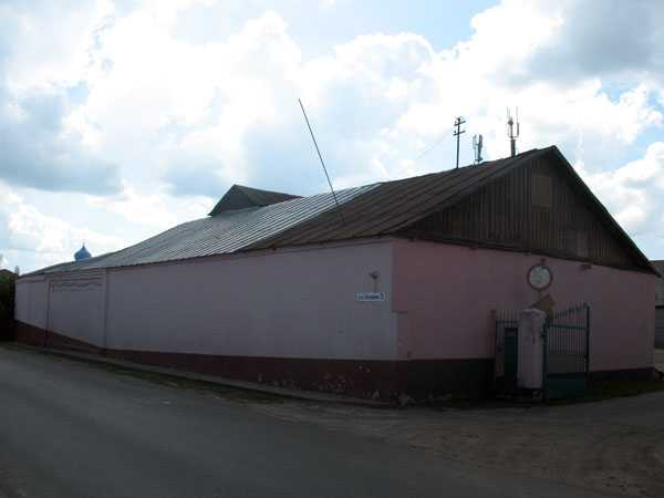 IMG_8009.jpg