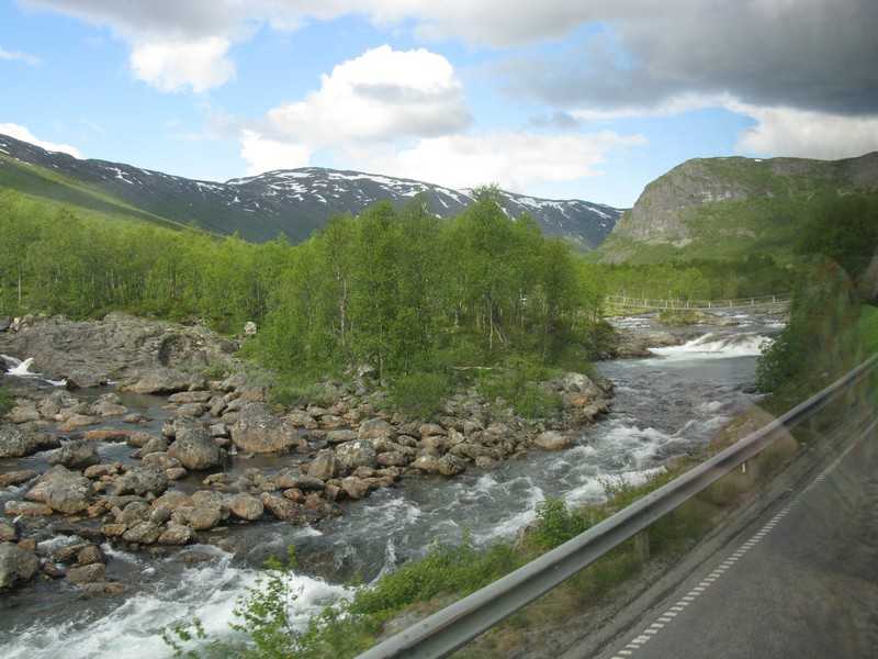 IMG 803.jpg