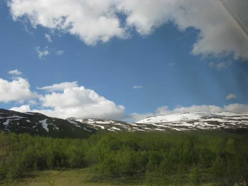 IMG 806.jpg