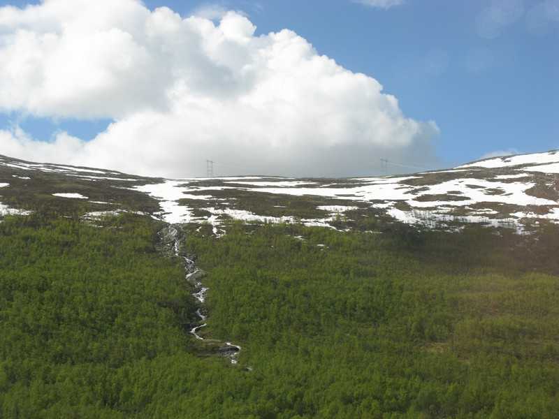 IMG 807.jpg