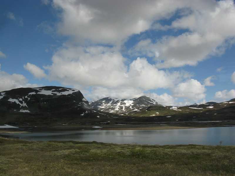 IMG 810.jpg