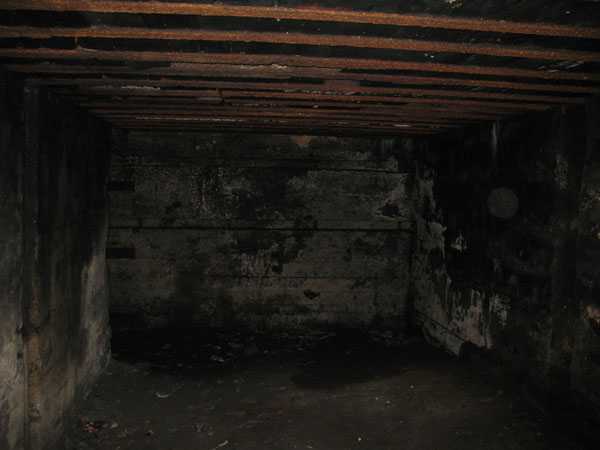 IMG_8146.jpg
