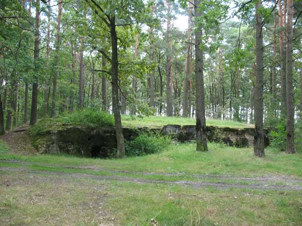 IMG_8186.jpg