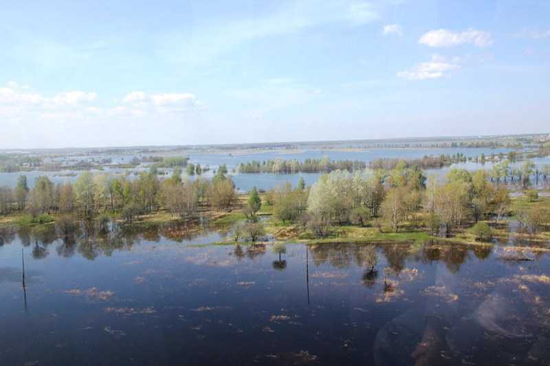 IMG_8469.JPG