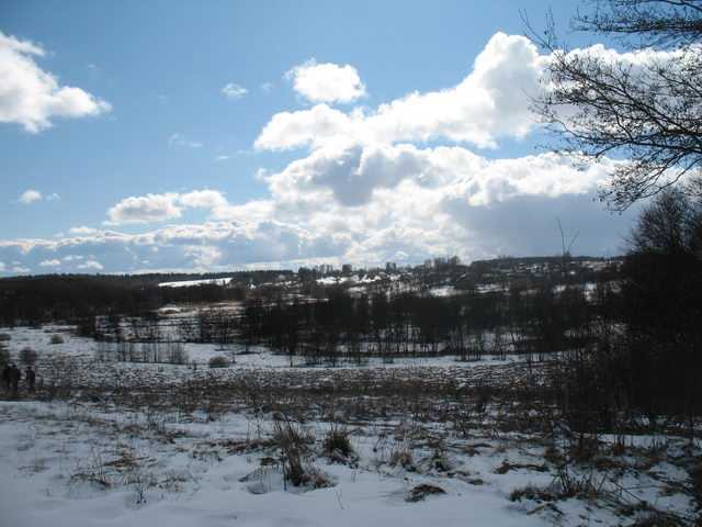 IMG_9187.JPG