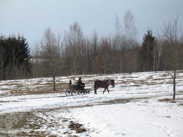IMG_9217.JPG