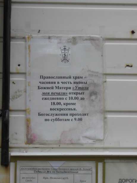 IMG_9247_resize.JPG