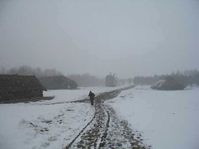 IMG_9250.JPG