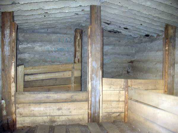 IMG_9874.jpg