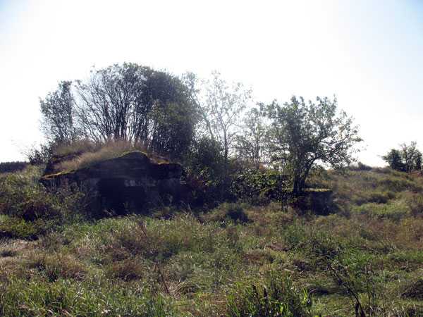 IMG_9901.jpg