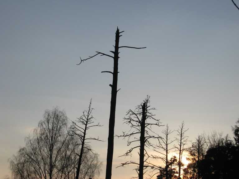 IMG_Острошицкий Городок.jpg