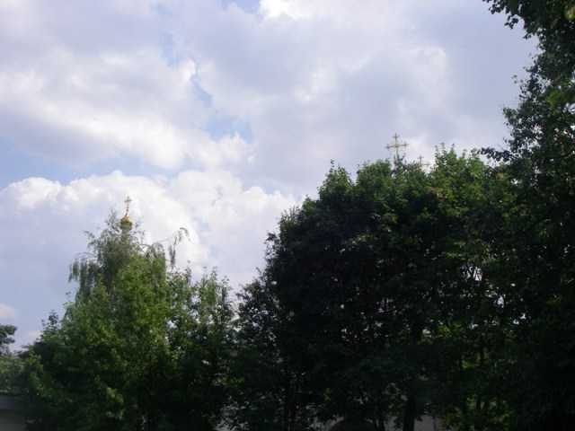 IMGP0005.JPG