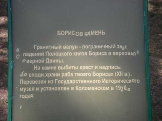 IMGP0010.JPG
