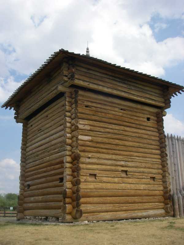 IMGP0079.JPG