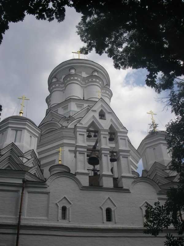IMGP0080.JPG