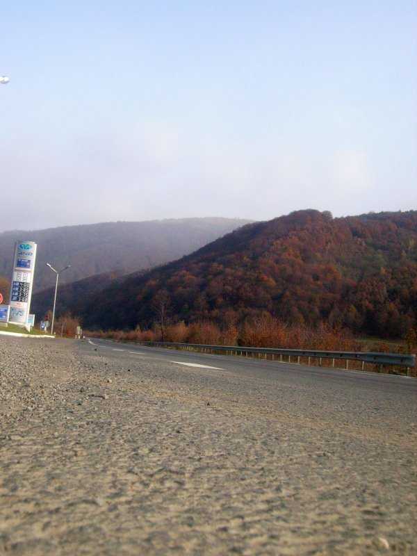 IMGP0091.jpg