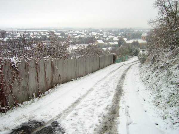 IMGP0242.JPG