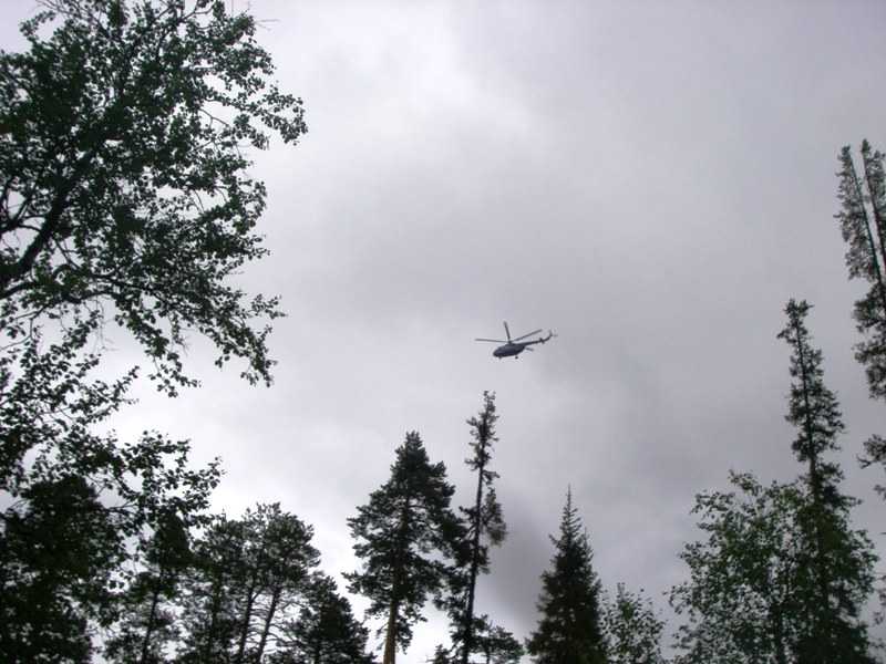 IMGP0243.JPG