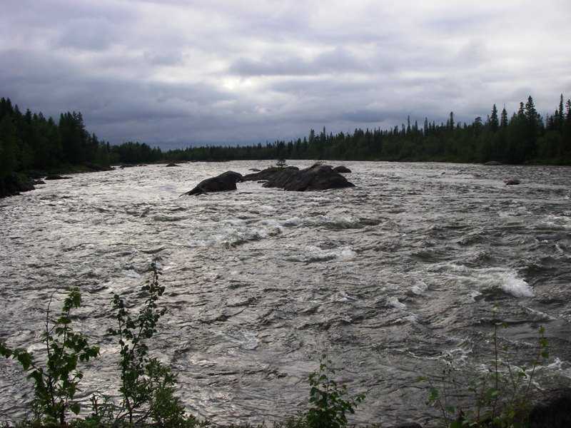 IMGP0267.JPG