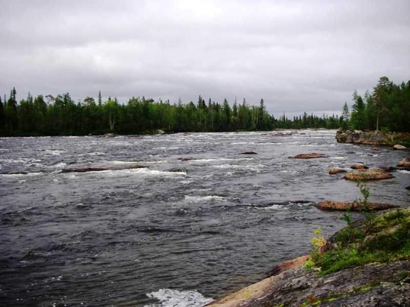 IMGP0268.JPG