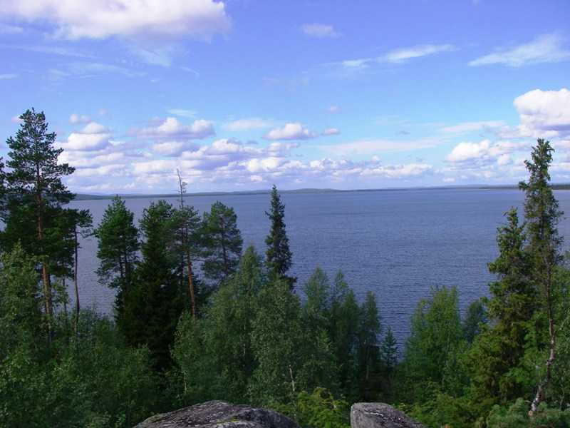 IMGP0307.JPG