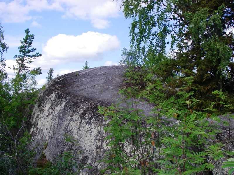 IMGP0311.JPG