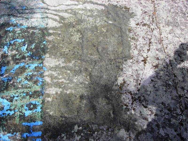 IMGP0319.JPG