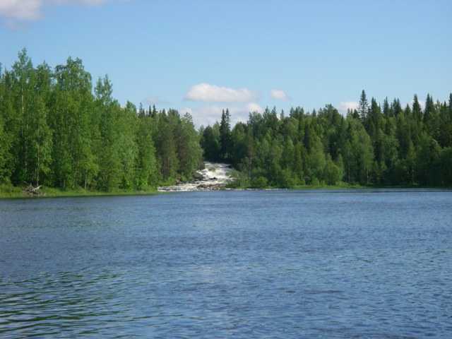 IMGP0986.JPG