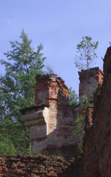 IMGP3037.jpg