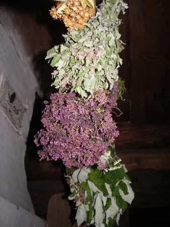 IMGP3112_новый размер.JPG