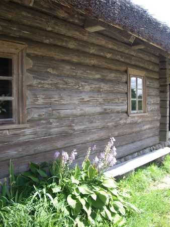 IMGP3143_новый размер.JPG