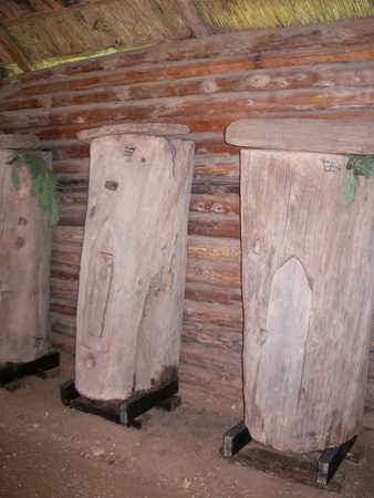 IMGP3206_новый размер.JPG