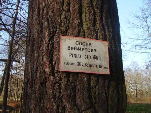 IMGP4660.JPG