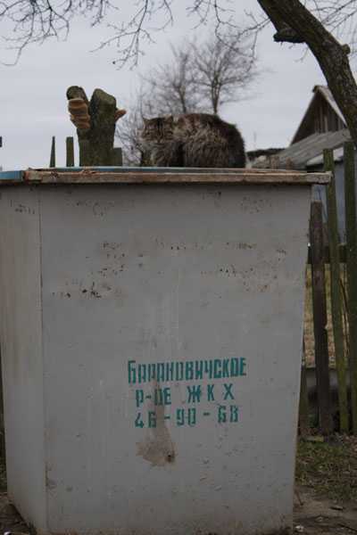 kroshin.jpg