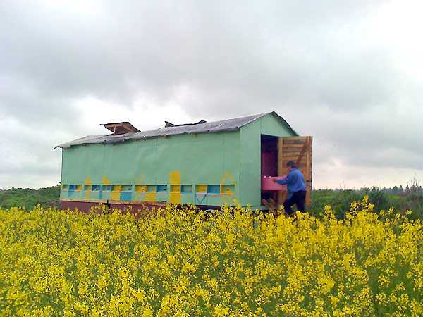 moto_0054.jpg
