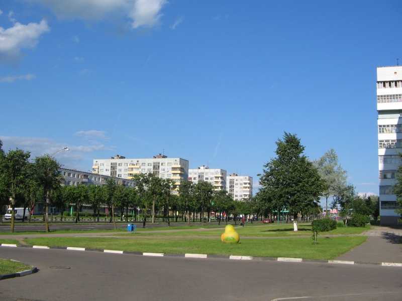 n3.jpg