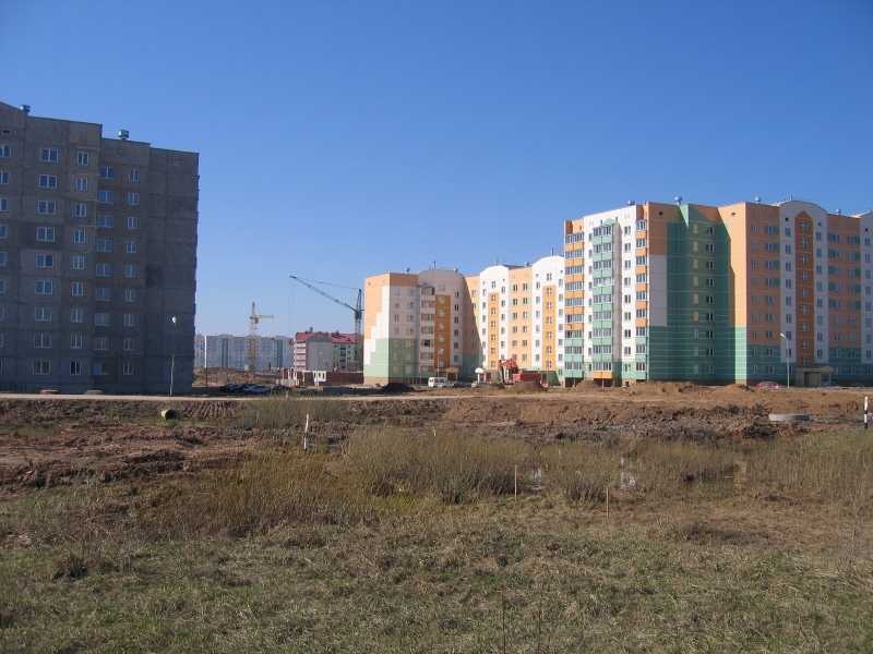n4.jpg