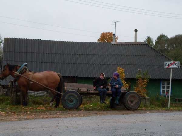 normal_258908voropaevo_i_ryadom_135.jpg