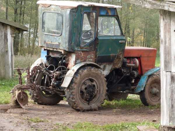 normal_569400makarovschina_126.jpg