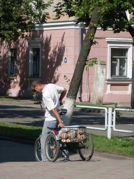 normal_sdc1619925773.jpg