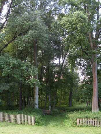 normal_sdc17229023482.jpg