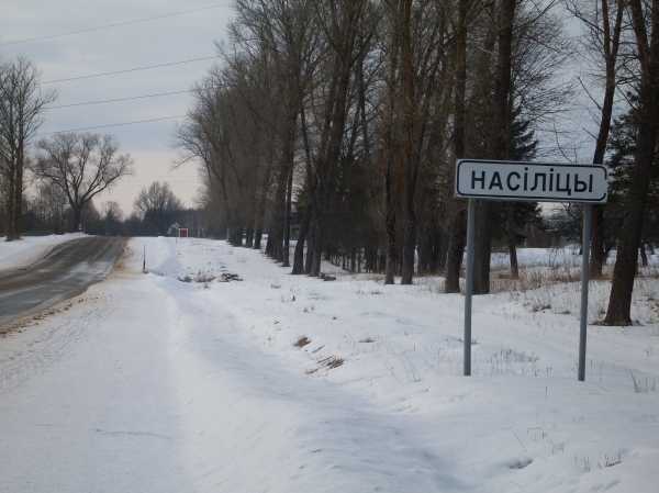 normal_vitebsk_mart_1026326373.jpg